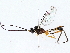  ( - BIOUG73667-D11)  @11 [ ] CreativeCommons - Attribution (2022) CBG Photography Group Centre for Biodiversity Genomics