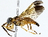  ( - BIOUG73669-A05)  @11 [ ] CreativeCommons - Attribution (2022) CBG Photography Group Centre for Biodiversity Genomics