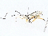  ( - BIOUG73669-C02)  @11 [ ] CreativeCommons - Attribution (2022) CBG Photography Group Centre for Biodiversity Genomics