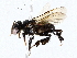  ( - BIOUG73669-F07)  @13 [ ] CreativeCommons - Attribution (2022) CBG Photography Group Centre for Biodiversity Genomics