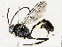  ( - BIOUG73669-H06)  @11 [ ] CreativeCommons - Attribution (2022) CBG Photography Group Centre for Biodiversity Genomics