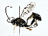  ( - BIOUG73670-A03)  @11 [ ] CreativeCommons - Attribution (2022) CBG Photography Group Centre for Biodiversity Genomics
