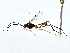  ( - BIOUG73670-A04)  @11 [ ] CreativeCommons - Attribution (2022) CBG Photography Group Centre for Biodiversity Genomics