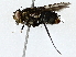  ( - BIOUG73670-B01)  @11 [ ] CreativeCommons - Attribution (2022) CBG Photography Group Centre for Biodiversity Genomics