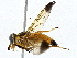  ( - BIOUG73670-B03)  @11 [ ] CreativeCommons - Attribution (2022) CBG Photography Group Centre for Biodiversity Genomics