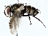  ( - BIOUG73670-B09)  @11 [ ] CreativeCommons - Attribution (2022) CBG Photography Group Centre for Biodiversity Genomics