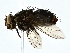  ( - BIOUG80147-E06)  @11 [ ] CreativeCommons - Attribution (2022) CBG Photography Group Centre for Biodiversity Genomics
