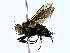  ( - BIOUG80148-B08)  @11 [ ] CreativeCommons - Attribution (2022) CBG Photography Group Centre for Biodiversity Genomics