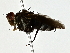  ( - BIOUG80148-H02)  @11 [ ] CreativeCommons - Attribution (2022) CBG Photography Group Centre for Biodiversity Genomics