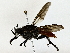  ( - BIOUG80148-H03)  @11 [ ] CreativeCommons - Attribution (2022) CBG Photography Group Centre for Biodiversity Genomics