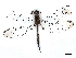 ( - BIOUG80149-H10)  @11 [ ] CreativeCommons - Attribution (2022) CBG Photography Group Centre for Biodiversity Genomics