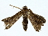  ( - BIOUG80150-A07)  @11 [ ] CreativeCommons - Attribution (2022) CBG Photography Group Centre for Biodiversity Genomics