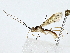  ( - BIOUG80157-F12)  @11 [ ] CreativeCommons - Attribution (2022) CBG Photography Group Centre for Biodiversity Genomics