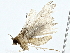  ( - BIOUG80169-C11)  @11 [ ] CreativeCommons - Attribution (2022) CBG Photography Group Centre for Biodiversity Genomics