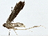  ( - BIOUG80169-C12)  @11 [ ] CreativeCommons - Attribution (2022) CBG Photography Group Centre for Biodiversity Genomics