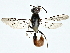  ( - BIOUG80175-E08)  @11 [ ] CreativeCommons - Attribution (2022) CBG Photography Group Centre for Biodiversity Genomics