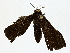  ( - BIOUG80176-D07)  @11 [ ] CreativeCommons - Attribution (2022) CBG Photography Group Centre for Biodiversity Genomics