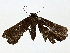  ( - BIOUG80176-D08)  @11 [ ] CreativeCommons - Attribution (2022) CBG Photography Group Centre for Biodiversity Genomics