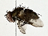  ( - BIOUG80176-E02)  @11 [ ] CreativeCommons - Attribution (2022) CBG Photography Group Centre for Biodiversity Genomics