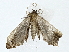  ( - BIOUG85247-D11)  @11 [ ] CreativeCommons - Attribution (2022) CBG Photography Group Centre for Biodiversity Genomics