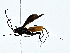  ( - BIOUG85247-F07)  @11 [ ] CreativeCommons - Attribution (2022) CBG Photography Group Centre for Biodiversity Genomics