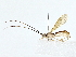  ( - BIOUG85247-G06)  @11 [ ] CreativeCommons - Attribution (2022) CBG Photography Group Centre for Biodiversity Genomics