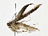  ( - BIOUG80158-E12)  @11 [ ] CreativeCommons - Attribution (2022) CBG Photography Group Centre for Biodiversity Genomics