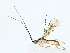  ( - BIOUG80159-B09)  @11 [ ] CreativeCommons - Attribution (2022) CBG Photography Group Centre for Biodiversity Genomics