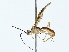  ( - BIOUG80159-B11)  @11 [ ] CreativeCommons - Attribution (2022) CBG Photography Group Centre for Biodiversity Genomics