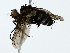  ( - BIOUG80159-D11)  @11 [ ] CreativeCommons - Attribution (2022) CBG Photography Group Centre for Biodiversity Genomics