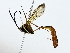  ( - BIOUG80159-F10)  @11 [ ] CreativeCommons - Attribution (2022) CBG Photography Group Centre for Biodiversity Genomics