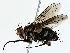  ( - BIOUG80160-B03)  @11 [ ] CreativeCommons - Attribution (2022) CBG Photography Group Centre for Biodiversity Genomics