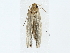  ( - BIOUG80160-C11)  @11 [ ] CreativeCommons - Attribution (2022) CBG Photography Group Centre for Biodiversity Genomics