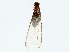  ( - BIOUG80160-E06)  @11 [ ] CreativeCommons - Attribution (2022) CBG Photography Group Centre for Biodiversity Genomics