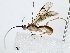  ( - BIOUG80160-G12)  @11 [ ] CreativeCommons - Attribution (2022) CBG Photography Group Centre for Biodiversity Genomics