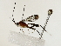  ( - BIOUG80160-H01)  @11 [ ] CreativeCommons - Attribution (2022) CBG Photography Group Centre for Biodiversity Genomics