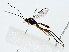  ( - BIOUG80161-E12)  @11 [ ] CreativeCommons - Attribution (2022) CBG Photography Group Centre for Biodiversity Genomics