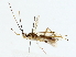  ( - BIOUG80161-F05)  @11 [ ] CreativeCommons - Attribution (2022) CBG Photography Group Centre for Biodiversity Genomics