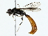  ( - BIOUG80162-D04)  @11 [ ] CreativeCommons - Attribution (2022) CBG Photography Group Centre for Biodiversity Genomics