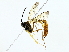  ( - BIOUG80162-D08)  @11 [ ] CreativeCommons - Attribution (2022) CBG Photography Group Centre for Biodiversity Genomics