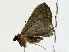  ( - BIOUG80162-F01)  @11 [ ] CreativeCommons - Attribution (2022) CBG Photography Group Centre for Biodiversity Genomics