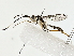  ( - BIOUG80177-H03)  @11 [ ] CreativeCommons - Attribution (2022) CBG Photography Group Centre for Biodiversity Genomics