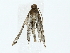  ( - BIOUG80178-D08)  @11 [ ] CreativeCommons - Attribution (2022) CBG Photography Group Centre for Biodiversity Genomics