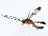  ( - BIOUG80178-E08)  @11 [ ] CreativeCommons - Attribution (2022) CBG Photography Group Centre for Biodiversity Genomics