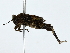 ( - BIOUG80178-G11)  @11 [ ] CreativeCommons - Attribution (2022) CBG Photography Group Centre for Biodiversity Genomics