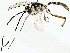  ( - BIOUG80179-A02)  @11 [ ] CreativeCommons - Attribution (2022) CBG Photography Group Centre for Biodiversity Genomics