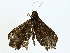  ( - BIOUG85248-B04)  @11 [ ] CreativeCommons - Attribution (2022) CBG Photography Group Centre for Biodiversity Genomics
