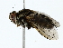  ( - BIOUG85248-D08)  @11 [ ] CreativeCommons - Attribution (2022) CBG Photography Group Centre for Biodiversity Genomics