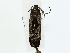  ( - BIOUG85249-A02)  @11 [ ] CreativeCommons - Attribution (2022) CBG Photography Group Centre for Biodiversity Genomics