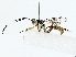  ( - BIOUG85249-D06)  @11 [ ] CreativeCommons - Attribution (2022) CBG Photography Group Centre for Biodiversity Genomics
